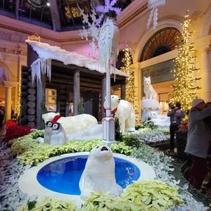 Meet your Posher, Camela